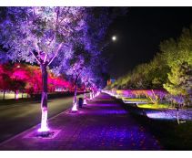 Đèn led chiếu cây ngoài trời đổi màu