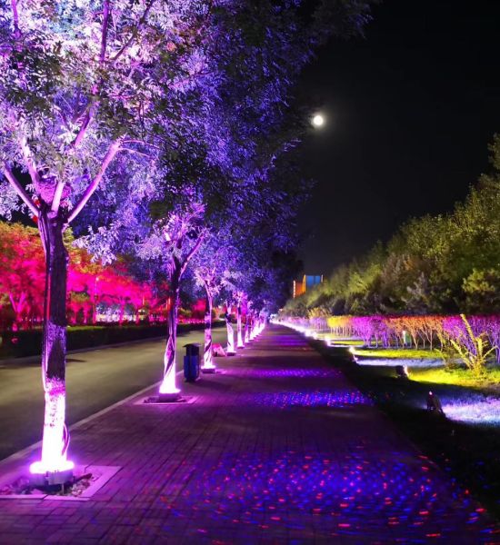 Đèn led chiếu cây ngoài trời đổi màu